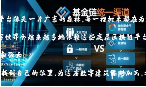   底层区块链平台：构建数字世界的基石  / 
 guanjianci 区块链平台, 底层区块链, 区块链技术, 区块链应用  /guanjianci 

引言：区块链的基础建设

在科技发展的浪潮中，区块链就像一座巨大的数字建筑，底层区块链平台则是这座建筑的坚实基础，支撑着各式各样的应用、服务和系统。就像一块结实的地基，只有在它的支撑下，才能搭建出宏伟的摩天大楼。但在这个看似严肃的话题中，别担心，我们会用一些轻松的比喻和幽默的语言，让你轻松理解底层区块链平台的各种特性，仿佛在听一个妙趣横生的故事。

什么是底层区块链平台？

在深入底层区块链平台之前，我们首先需要理解什么是区块链。区块链可以视为一种分布式账本，记录所有的信息和交易。底层区块链平台则是为应用开发和数据存储提供基础设施的系统，就如同一块未加工的木料，等待着工匠的雕琢。

底层区块链平台的特点通常包括：

- **去中心化**：没有单一的控制点，数据通过网络节点共同维护。
- **安全性**：利用加密技术来确保数据的安全，故而像是给你的数据打造了一道坚固的城墙。
- **透明性**：所有的交易记录都是公开的，谁都可以查看，就像一台透明的自动贩卖机。

主流底层区块链平台一览

提到底层区块链平台，很多人可能会想起比特币和以太坊，但实际上，除此之外还有许多其他优秀的平台，如今这些平台就如同星空中的繁星，各自闪耀着独特的光芒。以下是市场上最具影响力的几个底层区块链平台。

比特币（Bitcoin）

比特币是区块链技术的先驱，如同古代的航海家，开启了数字货币的探索之旅。比特币的底层区块链平台极大地推动了去中心化金融（DeFi）和数字资产的普及。

比特币的特点：

- **工作量证明（Proof of Work）**：比特币通过解决复杂的数学难题来验证交易，就像一场智力竞赛，参与者需要比拼计算能力。
- **稀缺性**：比特币的总量限定在2100万个，它就像是一个古代宝藏，吸引着无数人前来探索和挖掘。

以太坊（Ethereum）

以太坊可视为区块链世界中的“瑞士军刀”，提供了智能合约和去中心化应用（DApps）功能，其灵活性使得众多开发者趋之若鹜。以太坊不仅可以进行交易，还能编写代码、构建应用，犹如一位全能的魔法师。

以太坊的特点：

- **智能合约**：自动执行的合约协议，消除了中介的需要，让交易变得更加高效。
- **去中心化自治组织（DAO）**：通过以太坊，可以创建组织，让社区成员共同参与决策，有点像一个大型的“民主投票平台”。

波卡（Polkadot）

波卡（Polkadot）被誉为“区块链之互联网”，旨在实现不同链之间的互联互通。就如同一座桥梁，将各个孤立的岛屿（不同的区块链）联通在一起，形成一个繁荣的“数字群岛”。

波卡的特点：

- **跨链通信**：不同的区块链可以相互协作，就像不同国家之间的外交关系，有助于资源的共享。
- **平行链**：允许创建独立的链并与主链连接，用户可以根据需求自定义链的功能。

卡尔达诺（Cardano）

卡尔达诺鲜明的特征是强调科研驱动的发展，如同一个严谨的科学家，确保每一步都经过严格实验和验证。卡尔达诺在安全性和可扩展性方面进行了深入的研究和开发。

卡尔达诺的特点：

- **环境友好**：采用权益证明（Proof of Stake）机制，相较工作量证明更需耗费的能源小，有点像是开着环保车，为生态保护贡献一份力量。
- **分层架构**：将计算层和结算层分开，增加了系统的灵活性。

索拉纳（Solana）

在速度和高效性上，索拉纳如同一匹骏马，快如闪电，适用于各种去中心化应用。其性能可以支持每秒数千笔交易，真正做到了“快准狠”。

索拉纳的特点：

- **高吞吐量**：解决了交易速度慢的问题，快速处理各种交易请求，让用户体验顺畅无比。
- **低费用**：在保证速度的同时，低廉的手续费使得每一次交易都变得轻松愉快，仿佛是在做平价购物。

总结：底层区块链平台的未来

随着区块链技术的不断发展，底层区块链平台的形式和功能将会越来越多样化。从比特币的数字货币到以太坊的智能合约，再到波卡的跨链传输，底层区块链平台像是一片广袤的森林，每一棵树木都在为这个生态系统做出贡献。无论是开发者、商家，还是普通用户，都会在这个平台上找到属于自己的一片天地。

那么，未来的底层区块链将会如何发展呢？或许它们将成为越来越多日常生活中不可或缺的部分，像空气般无处不在，帮助我们更高效、便捷地生活。未来的数字世界会越来越多地依赖这些底层区块链平台提供的服务和支撑。

当然，在这个过程中，挑战和机遇并存。就像在生活中，我们常常会面临选择，谁又没有些小烦恼呢？只要我们坚持探索，未来的底层区块链平台必定会更加繁荣和强大。

总之，底层区块链平台就像是构建我们数字世界的大楼基础，安全性、透明性和高效性将会指引着我们前行的方向。在这场区块链的盛宴中，每一个参与者都能找到自己的位置，为这座数字建筑添砖加瓦。希望通过上述内容，你对底层区块链平台有了更深入的了解，并能够在日后的探索中，愉快地游走于这片神秘而美丽的区块链天地。