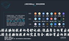 国际短视频区块链技术的