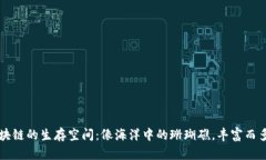 区块链的生存空间：像海