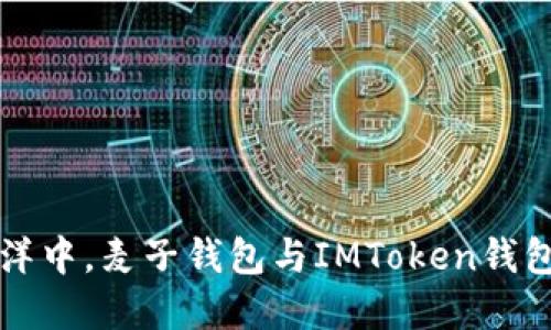 （）: “在数字货币的海洋中，麦子钱包与IMToken钱包：谁是你的航海伴侣？”