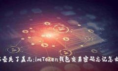像茶壶失了盖儿：imToken钱