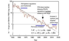 区块链的幽灵：揭秘那些
