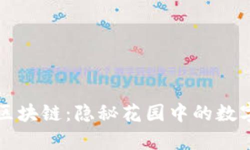 私有区块链：隐秘花园中的数字宝藏