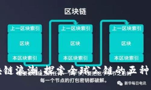 驾驭区块链浪潮：探索全球公链的五种类型之旅