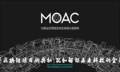 探寻区块链项目的奥秘：