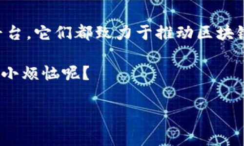 在当前快速发展的科技领域，区块链技术作为一种颠覆性的创新，正在改变我们生活和工作方式的各个方面。为了帮助新创企业和开发者在这一充满潜力的领域扎根并成长，许多区块链创新孵化平台应运而生。以下内容将为您详细介绍一些著名的区块链孵化平台，以及它们所提供的支持和资源。

区块链孵化平台的重要性

在讲述具体的孵化平台之前，我们先来看看为什么区块链孵化平台如此重要。想象一下，一个新兴的区块链项目就像是一颗幼苗，虽然它拥有生长的潜力，但如果没有合适的土壤、阳光和水分，它将很难茁壮成长。在这个比喻中，区块链孵化平台就是那片富饶的土壤，它为项目提供必要的支持，让这些项目在技术、资金、人脉等方面获得发展。从这个角度来看，孵化平台的存在不仅促进了区块链行业的生态发展，也推动了相关技术的普及和应用。

知名的区块链创新孵化平台

接下来，我们将介绍一些当前最受欢迎的区块链孵化平台，这些平台在推动区块链技术的创新和应用方面发挥了重要作用。

1. Binance Labs

说到区块链孵化平台，一个不可忽视的名字就是 Binance Labs。作为全球领先的加密货币交易所之一，Binance 在区块链和加密货币领域的影响力不言而喻。Binance Labs 不仅提供资金支持，还通过技术指导、业务发展咨询等方式，帮助初创企业加速成长。

Binance Labs 的投资组合中包括了许多成功的区块链项目，如 Axie Infinity 和 1inch。通过其孵化项目，Binance Labs 希望能够实现更加去中心化和开放的区块链生态系统。

2. ConsenSys

ConsenSys 是以太坊生态系统中的一个重要参与者，它的孵化平台帮助开发者和企业在以太坊链上构建和扩展应用程序。ConsenSys 通过与创业公司合作，提供资金、技术支持和战略建议，帮助它们在竞争日益激烈的市场中立足。

此外，ConsenSys 还推出了一系列开发工具和资源，如 Infura 和 MetaMask，这些工具不仅极大地方便了开发者的工作，也为诸多 DApp 的成功提供了支持。谁说区块链的应用只存在于金融领域？它其实在艺术、游戏等多个领域都有着广泛的应用。

3. Dreamteam

如果你是游戏开发者，Dreamteam 可能是你最向往的孵化平台。在这个以区块链为基础的游戏平台上，Dreamteam 不但是个孵化器，更是连接游戏开发者与玩家的桥梁。通过他们的平台，游戏开发者可以接触到多样性的人才，而玩家则可以直接参与到游戏的设计与开发中。

不论你是想开发区域链游戏，还是想探索 NFT 的可能性，Dreamteam 提供的资源和支持将帮助你实现梦想。而且，谁还没点小烦恼呢？在这条探索的路上，依赖这样的平台来保障自己的创意落地总是更安心的。

4. Outlier Ventures

作为一家专注于推动区块链技术的风险投资和孵化机构，Outlier Ventures 被誉为 Web3 的领航者。它专注于早期项目，提供从种子轮融资到技术支持的全方位服务。

他们的加速器项目包括为期 12 周的培训课程，帮助创业者理清思路，打造商业模型，并提供行业内的联系资源。Outlier Ventures 强调了 Web3 的重要性，认为去中心化和用户隐私将是未来数字经济的核心。

5. Techstars Blockchain Accelerator

Techstars 是全球著名的创业加速器，专为区块链项目设立的 Techstars Blockchain Accelerator 同样不容小觑。无论你是一位刚刚提出想法的开发者，还是一位已经有项目进展的企业家，Techstars 均提供了一系列资源来加速项目的推进。

参与者可以获得来自成功企业家的指导，拓展人脉，并获得潜在的投资机会。Techstars 的使命不仅是帮助企业成功，更是帮助他们塑造未来的经济生态。

孵化平台提供的支持与资源

无论是哪一个孵化平台，它们通常都提供以下几类支持与资源，帮助区块链初创企业蓬勃发展：

ul
  listrong资金支持：/strong孵化平台通常会为初创企业提供初始资金，帮助他们启动项目，支付开发成本等。/li
  listrong市场推广：/strong一个好的产品，光有技术还不够，孵化平台通常会帮助项目进行市场推广，提升知名度。/li
  listrong技术支持：/strong孵化平台会为初创企业提供技术支持，包括开发工具、架构设计等，确保项目的技术实现顺利。/li
  listrong咨询服务：/strong经验丰富的顾问团队会为创始人提供业务发展、产品定位、品牌建设等方面的咨询服务，帮助他们在市场中站稳脚跟。/li
  listrong人脉网络：/strong孵化平台通常拥有广泛的行业联系，能够为初创企业提供潜在的合作伙伴、投资者和用户。/li
/ul

如何选择合适的孵化平台

随着孵化平台的增多，选择一个合适的孵化平台对初创企业来说至关重要。这里有几个关键点可以考虑：

ul
  listrong平台的定位：/strong不同孵化平台可能专注于不同领域和技术，选择与自己项目相符合的平台会更有帮助。/li
  listrong资源支持：/strong了解孵化平台能提供哪些具体的资源和支持，确保它们能满足你的需求。/li
  listrong成功案例：/strong关注平台过去孵化的项目成功与否，可以帮助你判断该平台的实力与可靠性。/li
  listrong导师和顾问团队：/strong导师的专业背景和经验对初创企业的帮助是巨大的，选择有良好导师团队的平台更具优势。/li
/ul

总结

区块链创新孵化平台在帮助初创企业蓬勃发展的过程中扮演着至关重要的角色，就像美味的咖啡需要烘焙与淬炼，初创项目也需要孵化平台的悉心培育。无论是 Binance Labs、ConsenSys，还是其他孵化平台，它们都致力于推动区块链技术的创新与应用，为创业者创造更为良好的发展环境。

如果你有一个出色的区块链创意，选择一个合适的孵化平台将是你实现梦想的重要一步。毕竟，在充满未知和挑战的创意旅程中，有一个可靠的伙伴在身边，能够让你的旅程少一些波折，多一些欢笑，谁还没点小烦恼呢？

区块链, 孵化平台, 创新, 初创企业/guanjianci