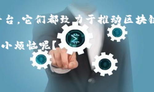 在当前快速发展的科技领域，区块链技术作为一种颠覆性的创新，正在改变我们生活和工作方式的各个方面。为了帮助新创企业和开发者在这一充满潜力的领域扎根并成长，许多区块链创新孵化平台应运而生。以下内容将为您详细介绍一些著名的区块链孵化平台，以及它们所提供的支持和资源。

区块链孵化平台的重要性

在讲述具体的孵化平台之前，我们先来看看为什么区块链孵化平台如此重要。想象一下，一个新兴的区块链项目就像是一颗幼苗，虽然它拥有生长的潜力，但如果没有合适的土壤、阳光和水分，它将很难茁壮成长。在这个比喻中，区块链孵化平台就是那片富饶的土壤，它为项目提供必要的支持，让这些项目在技术、资金、人脉等方面获得发展。从这个角度来看，孵化平台的存在不仅促进了区块链行业的生态发展，也推动了相关技术的普及和应用。

知名的区块链创新孵化平台

接下来，我们将介绍一些当前最受欢迎的区块链孵化平台，这些平台在推动区块链技术的创新和应用方面发挥了重要作用。

1. Binance Labs

说到区块链孵化平台，一个不可忽视的名字就是 Binance Labs。作为全球领先的加密货币交易所之一，Binance 在区块链和加密货币领域的影响力不言而喻。Binance Labs 不仅提供资金支持，还通过技术指导、业务发展咨询等方式，帮助初创企业加速成长。

Binance Labs 的投资组合中包括了许多成功的区块链项目，如 Axie Infinity 和 1inch。通过其孵化项目，Binance Labs 希望能够实现更加去中心化和开放的区块链生态系统。

2. ConsenSys

ConsenSys 是以太坊生态系统中的一个重要参与者，它的孵化平台帮助开发者和企业在以太坊链上构建和扩展应用程序。ConsenSys 通过与创业公司合作，提供资金、技术支持和战略建议，帮助它们在竞争日益激烈的市场中立足。

此外，ConsenSys 还推出了一系列开发工具和资源，如 Infura 和 MetaMask，这些工具不仅极大地方便了开发者的工作，也为诸多 DApp 的成功提供了支持。谁说区块链的应用只存在于金融领域？它其实在艺术、游戏等多个领域都有着广泛的应用。

3. Dreamteam

如果你是游戏开发者，Dreamteam 可能是你最向往的孵化平台。在这个以区块链为基础的游戏平台上，Dreamteam 不但是个孵化器，更是连接游戏开发者与玩家的桥梁。通过他们的平台，游戏开发者可以接触到多样性的人才，而玩家则可以直接参与到游戏的设计与开发中。

不论你是想开发区域链游戏，还是想探索 NFT 的可能性，Dreamteam 提供的资源和支持将帮助你实现梦想。而且，谁还没点小烦恼呢？在这条探索的路上，依赖这样的平台来保障自己的创意落地总是更安心的。

4. Outlier Ventures

作为一家专注于推动区块链技术的风险投资和孵化机构，Outlier Ventures 被誉为 Web3 的领航者。它专注于早期项目，提供从种子轮融资到技术支持的全方位服务。

他们的加速器项目包括为期 12 周的培训课程，帮助创业者理清思路，打造商业模型，并提供行业内的联系资源。Outlier Ventures 强调了 Web3 的重要性，认为去中心化和用户隐私将是未来数字经济的核心。

5. Techstars Blockchain Accelerator

Techstars 是全球著名的创业加速器，专为区块链项目设立的 Techstars Blockchain Accelerator 同样不容小觑。无论你是一位刚刚提出想法的开发者，还是一位已经有项目进展的企业家，Techstars 均提供了一系列资源来加速项目的推进。

参与者可以获得来自成功企业家的指导，拓展人脉，并获得潜在的投资机会。Techstars 的使命不仅是帮助企业成功，更是帮助他们塑造未来的经济生态。

孵化平台提供的支持与资源

无论是哪一个孵化平台，它们通常都提供以下几类支持与资源，帮助区块链初创企业蓬勃发展：

ul
  listrong资金支持：/strong孵化平台通常会为初创企业提供初始资金，帮助他们启动项目，支付开发成本等。/li
  listrong市场推广：/strong一个好的产品，光有技术还不够，孵化平台通常会帮助项目进行市场推广，提升知名度。/li
  listrong技术支持：/strong孵化平台会为初创企业提供技术支持，包括开发工具、架构设计等，确保项目的技术实现顺利。/li
  listrong咨询服务：/strong经验丰富的顾问团队会为创始人提供业务发展、产品定位、品牌建设等方面的咨询服务，帮助他们在市场中站稳脚跟。/li
  listrong人脉网络：/strong孵化平台通常拥有广泛的行业联系，能够为初创企业提供潜在的合作伙伴、投资者和用户。/li
/ul

如何选择合适的孵化平台

随着孵化平台的增多，选择一个合适的孵化平台对初创企业来说至关重要。这里有几个关键点可以考虑：

ul
  listrong平台的定位：/strong不同孵化平台可能专注于不同领域和技术，选择与自己项目相符合的平台会更有帮助。/li
  listrong资源支持：/strong了解孵化平台能提供哪些具体的资源和支持，确保它们能满足你的需求。/li
  listrong成功案例：/strong关注平台过去孵化的项目成功与否，可以帮助你判断该平台的实力与可靠性。/li
  listrong导师和顾问团队：/strong导师的专业背景和经验对初创企业的帮助是巨大的，选择有良好导师团队的平台更具优势。/li
/ul

总结

区块链创新孵化平台在帮助初创企业蓬勃发展的过程中扮演着至关重要的角色，就像美味的咖啡需要烘焙与淬炼，初创项目也需要孵化平台的悉心培育。无论是 Binance Labs、ConsenSys，还是其他孵化平台，它们都致力于推动区块链技术的创新与应用，为创业者创造更为良好的发展环境。

如果你有一个出色的区块链创意，选择一个合适的孵化平台将是你实现梦想的重要一步。毕竟，在充满未知和挑战的创意旅程中，有一个可靠的伙伴在身边，能够让你的旅程少一些波折，多一些欢笑，谁还没点小烦恼呢？

区块链, 孵化平台, 创新, 初创企业/guanjianci