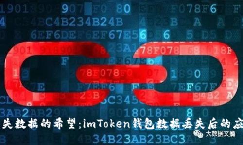 重拾丢失数据的希望：imToken钱包数据丢失后的应对指南