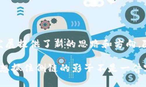 区块链技术的不断发展催生了许多新的概念，其中侧链（Sidechain）技术作为一种扩展链上功能的方式，越来越受到关注。侧链可以让不同区块链之间实现资产的转移和交互，从而提高区块链的效率与灵活性。以下是一些采用侧链技术的区块链平台：

### 1. 比特币（Bitcoin）
比特币本身不支持智能合约和复杂的交易功能，因此开发者创建了多个侧链来增加其功能，比如 **Rootstock (RSK)**。RSK是一个与比特币网络连接的智能合约平台，它通过侧链技术实现智能合约的功能，同时保持比特币的安全性。

### 2. 以太坊（Ethereum）
以太坊的生态系统中也存在多个侧链项目。例如，**Polygon**（原名Matic Network）通过创建一种侧链解决了以太坊的扩展性问题，支持更快速和低成本的交易，适合开发去中心化应用（dApps）和游戏。

### 3. 索拉纳（Solana）
索拉纳的生态系统中有一个称为**Solana Bridge**的侧链功能，它允许其他区块链与Solana进行资产转移，增强了跨链的互操作性。

### 4. 互助链（Holochain）
Holochain是一种独特的框架，它允许开发者创建去中心化的应用程序，同时支持其他区块链和侧链的集成。Holochain专注于去中心化和个人主权，侧链的实现增加了其功能性。

### 5. 赫尔星云（Hedera Hashgraph）
Hedera是一个高性能的企业解决方案，具有侧链功能，可以促进不同网络之间的资产流动。通过Hedera的侧链，用户可以实现快速交易并体验安全性。

### 6. Cosmos
Cosmos 网络为其应用程序提供了侧链功能，允许不同的区块链之间进行通信和交互。Cosmos Hub作为中心链，能够通过IBC（Inter-Blockchain Communication）协议实现不同侧链的互操作性。

### 侧链的优势与挑战

在了解了以上区块链平台的侧链技术后，咱们再聊一聊侧链的优势和面临的挑战。

#### 优势：
1. **可扩展性**：侧链允许主链分担部分交易处理，从而提高整体网络性能。
2. **灵活性**：开发者可以在侧链上实验新的功能，而不影响主链的稳定性。
3. **互操作性**：不同区块链之间的资产流动变得更加容易，促进了跨链生态系统的发展。
4. **降低成本**：侧链通常具有更低的交易费用，使用户能够处理小额支付和微交易。

#### 挑战：
1. **安全性风险**：侧链可能面临安全漏洞，如果侧链受到攻击，可能影响到主链的安全。
2. **复杂性**：管理多个链之间的交互和资产转移可能变得复杂，需要更多的技术投入。
3. **用户认知**：许多用户对于侧链的概念仍感到陌生，因此推广和教育工作至关重要。

### 总结

侧链技术为区块链领域带来了许多可能性，无论是在可扩展性、灵活性还是跨链互操作性方面，都为区块链的发展提供了新的思路和方向。随着技术的不断进步与应用场景的持续扩展，侧链将会在未来的区块链生态中扮演越来越重要的角色。

为了让这个话题更轻松些，谁还没点小烦恼呢？在这个快速变化的科技界里，学习新技术总是有点像在捉迷藏，想抓住侧链的影子不是一件容易的事，但只要我们持续探索，总会在某个转角找到意想不到的收获！