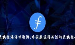 在区块链海洋中遨游：中