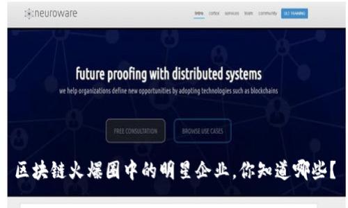 区块链火爆圈中的明星企业，你知道哪些？