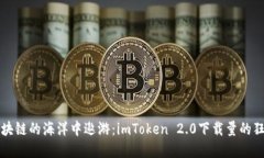 “在区块链的海洋中遨游