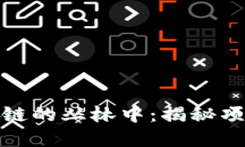 : 游走在区块链的丛林中：揭秘项目组合全景图