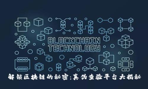 解锁区块链的秘密：真伪查验平台大揭秘