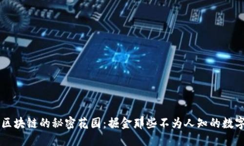 私人区块链的秘密花园：掘金那些不为人知的数字货币