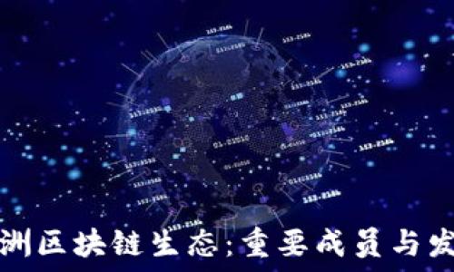   
探索欧洲区块链生态：重要成员与发展动态