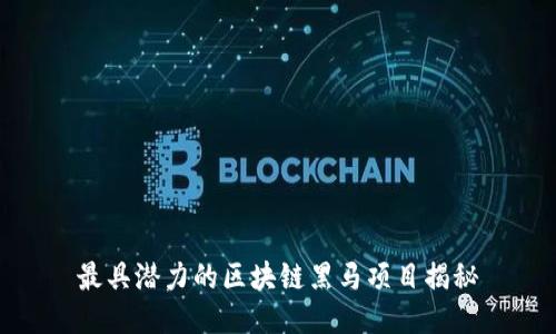 最具潜力的区块链黑马项目揭秘