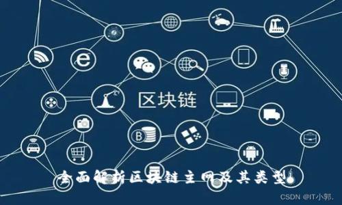 全面解析区块链主网及其类型