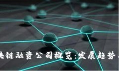 佛山的区块链融资公司概