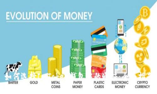 如何选择ImToken钱包中的通证：全面指南