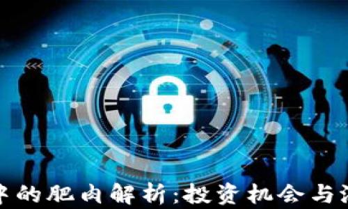 
区块链中的肥肉解析：投资机会与潜在风险