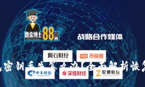 imToken钱包密钥丢失怎么办？全面解析恢复及预防措施