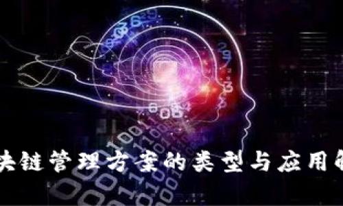 区块链管理方案的类型与应用解析