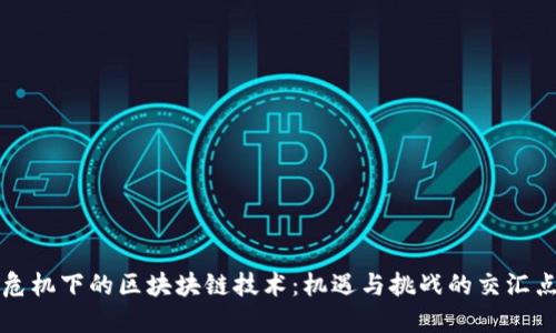 危机下的区块块链技术：机遇与挑战的交汇点