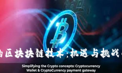 危机下的区块块链技术：机遇与挑战的交汇点