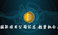 2023年区块链国际项目公司