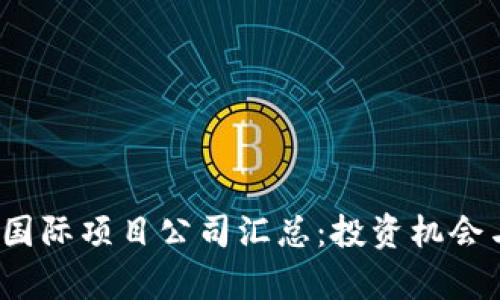 2023年区块链国际项目公司汇总：投资机会与发展前景解析