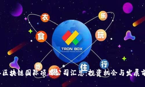 2023年区块链国际项目公司汇总：投资机会与发展前景解析