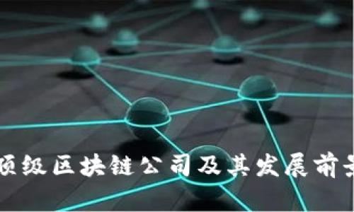 杭州顶级区块链公司及其发展前景分析