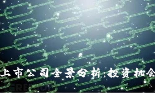 中国区块链上市公司全景分析：投资机会与市场前景