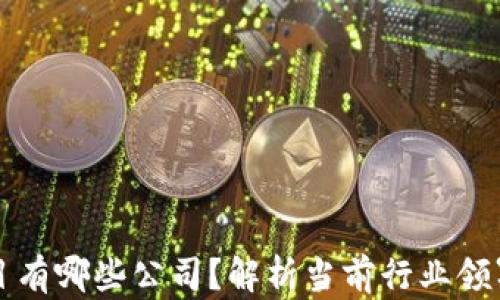 
区块链联盟项目有哪些公司？解析当前行业领军者与项目趋势