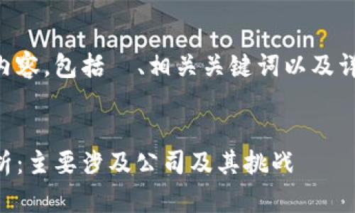 以下是您所请求的内容，包括  、相关关键词以及详细介绍和问题讨论。


区块链专利问题分析：主要涉及公司及其挑战