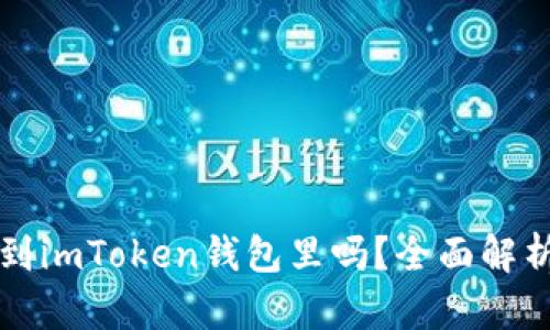 狗狗币能存到imToken钱包里吗？全面解析与使用指南