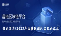 行业顶尖！2023年区块链团