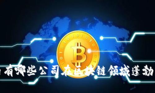  国内有哪些公司在区块链领域蓬勃发展？