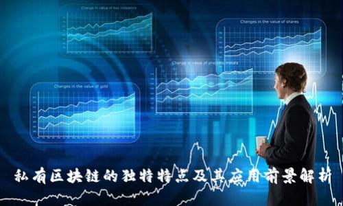 私有区块链的独特特点及其应用前景解析