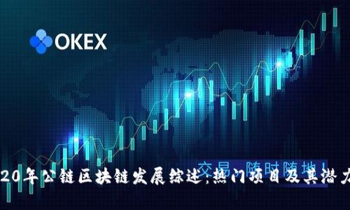 : 2020年公链区块链发展综述：热门项目及其潜力分析