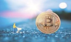 imToken钱包密码找回攻略：