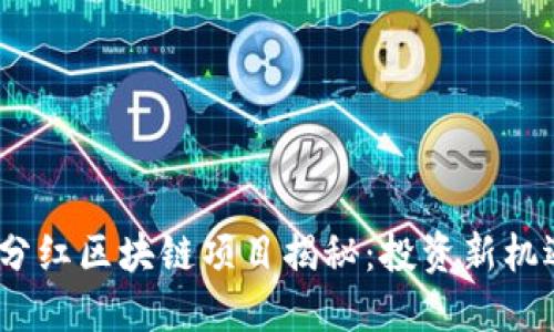 2023年永久分红区块链项目揭秘：投资新机遇与潜在风险