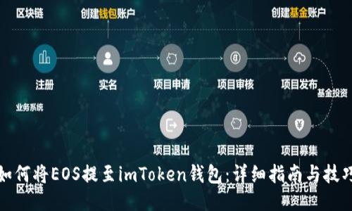 如何将EOS提至imToken钱包：详细指南与技巧