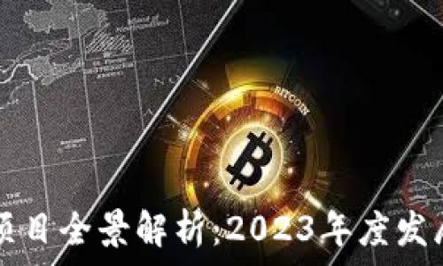   
阳西区块链试点项目全景解析：2023年度发展现状与未来展望