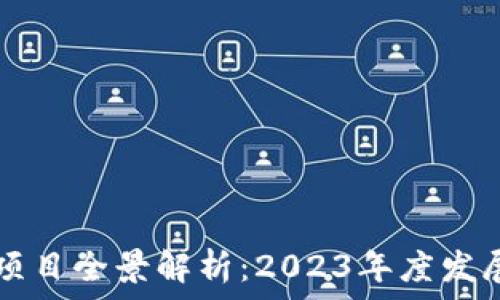   
阳西区块链试点项目全景解析：2023年度发展现状与未来展望