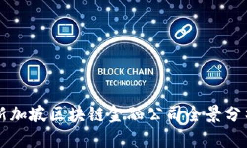 新加坡区块链金融公司全景分析