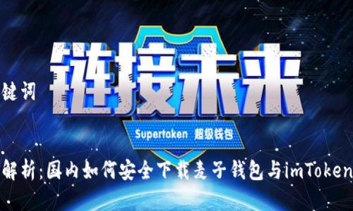 和关键词


全面解析：国内如何安全下载麦子钱包与imToken钱包