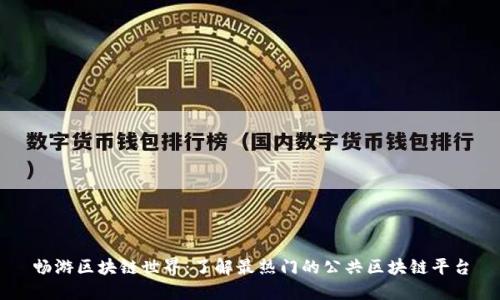 畅游区块链世界：了解最热门的公共区块链平台