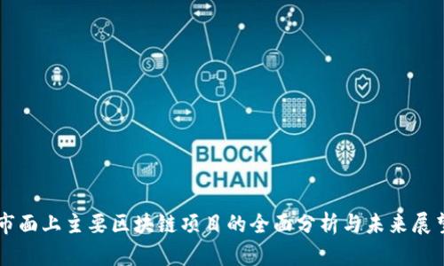 市面上主要区块链项目的全面分析与未来展望